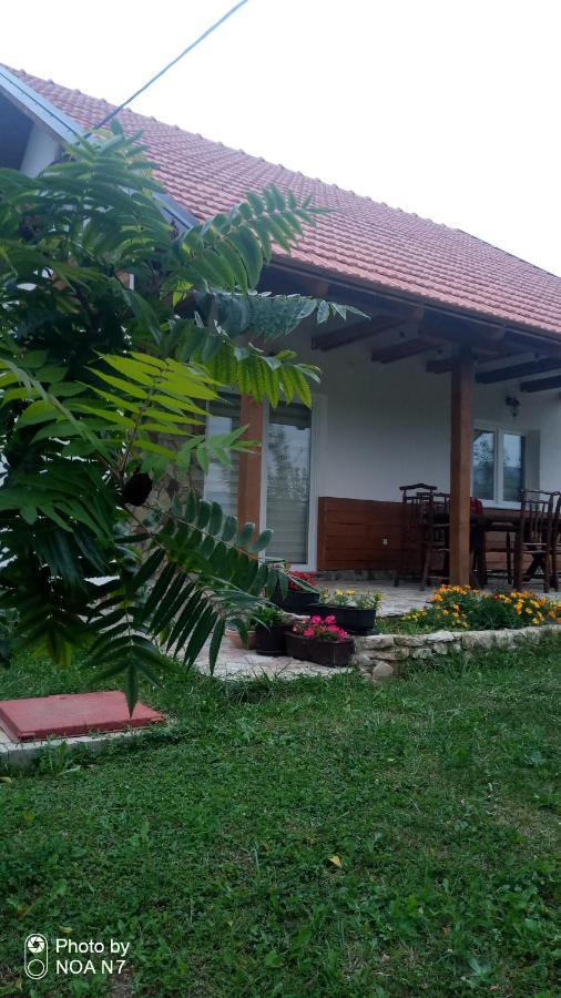 Nektar Park Villa Sara Bihac Exterior photo